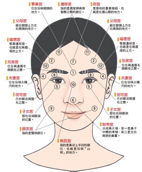 看面相準嗎|【面相 準嗎】面相準嗎？揭開面相學的神秘面紗，一窺命運的玄。